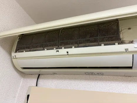 作業前20250929-01 作業前20250929-01